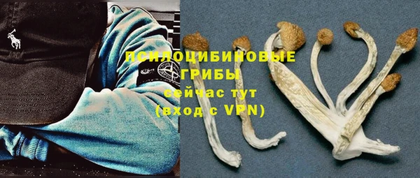 кокаин колумбия Белокуриха
