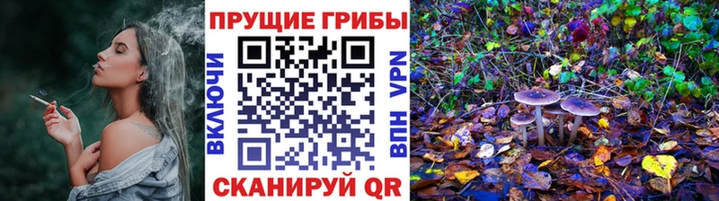 Галлюциногенные грибы ЛСД  Тогучин 